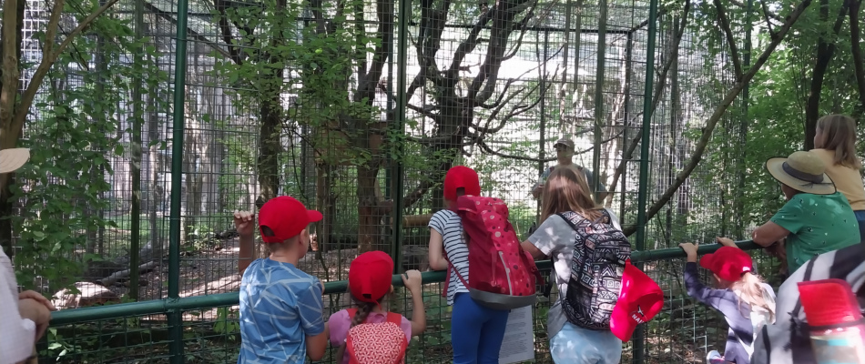 Kindergeburtstag im Leintalzoo 3 Programme zur Auswahl: Tierrallye, Tierführung aktiv und Märchen im Zoo