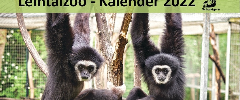 Unser Leintalzoo-Kalender 2022 ist da! Verkauf an der Kasse und jetzt auch per Versand