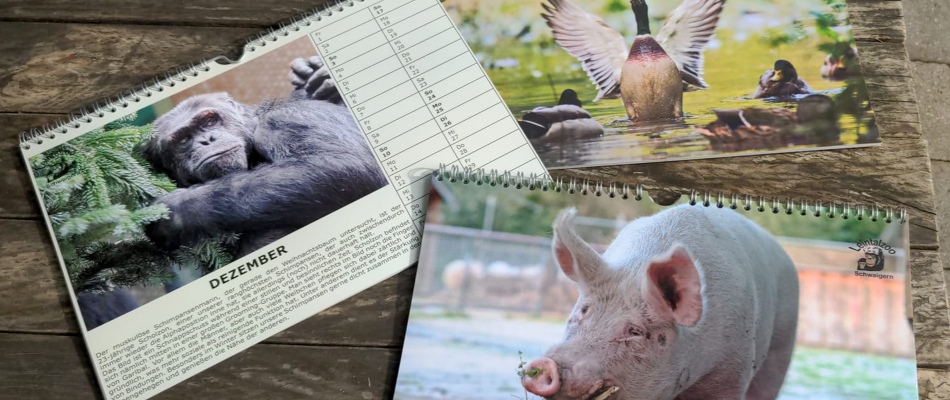 Leintalzoo-Kalender    Jetzt sichern! Ein tierisch tolles Kalender-Jahr -   Es gibt noch einige wenige Exemplare