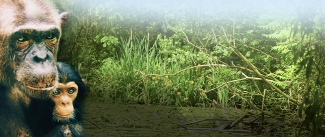 Geschenke aus dem Leintalzoo