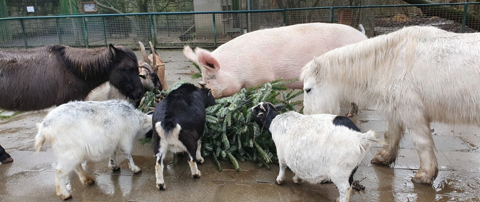 unsere neuesten Stellenausschreibungen sind online Arbeiten im Leintalzoo