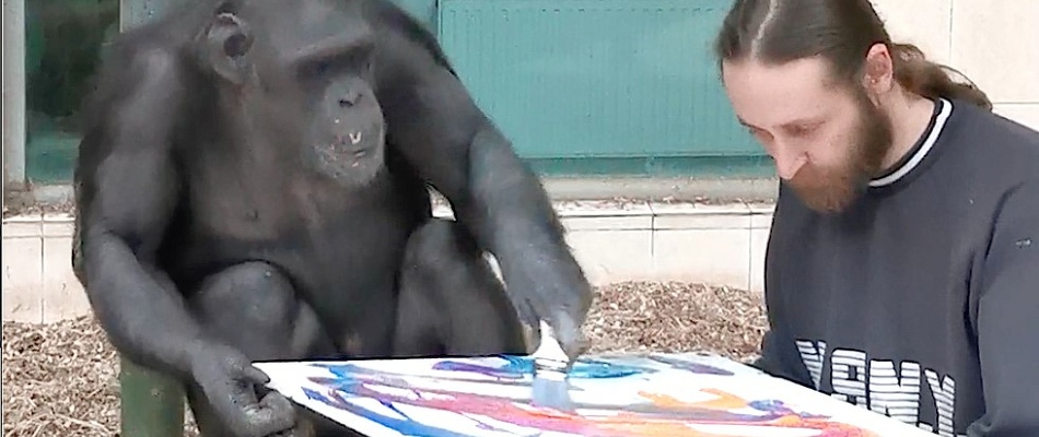 Das Enrichment -Team aus Krefeld war wieder aktiv! Beschäftigung für die Tiere