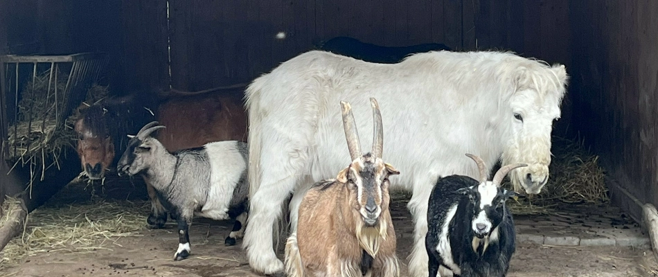 Wir brauchen weiterhin eure Unterstützung Hilfegesuch