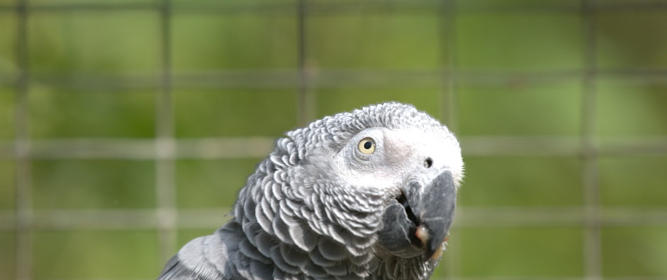 Wir brauchen Ihre Unterstützung Dringend benötigte Futter- und Sachspenden