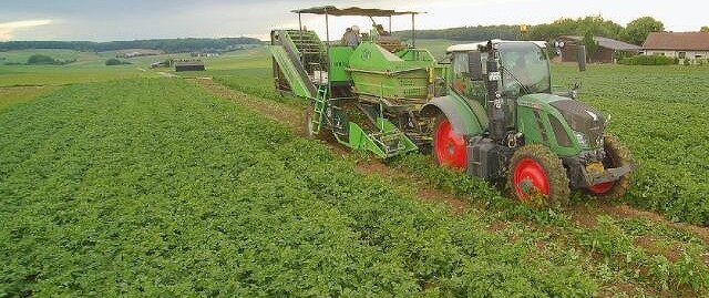  - Wir haben mit der Kartoffelernte begonnen!