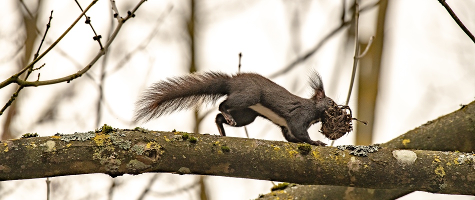  Leintalzoo-Besuch im Herbst 2020