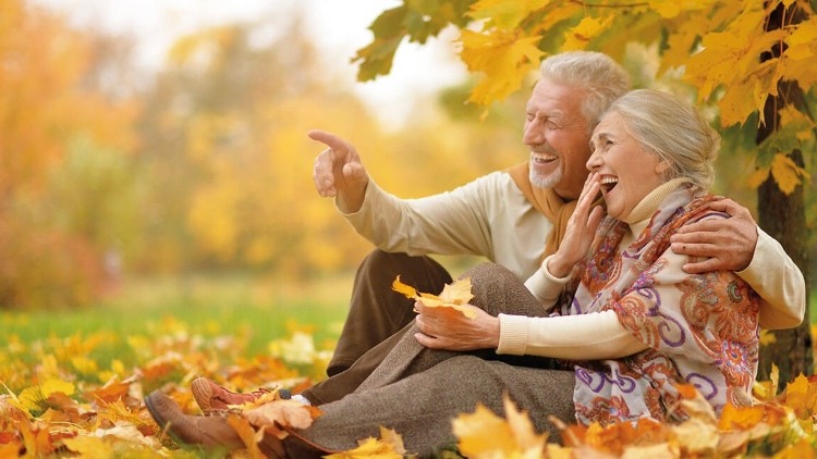 Schloss Apotheke Schwaigern aus Schwaigern