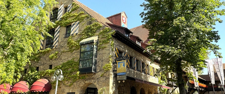 Traditionelles Gänsemahl
