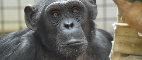 Erlebnisführung für Familien